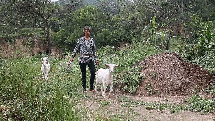 你好，新生活再見，舊窯洞——?jiǎng)?huì)玲的幸福日子