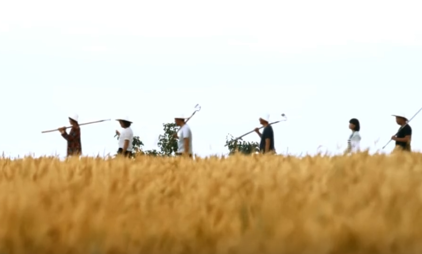 【脫貧攻堅第一線】看環(huán)縣關(guān)營村，花海、火龍果、生態(tài)雞、醬香驢……體驗走