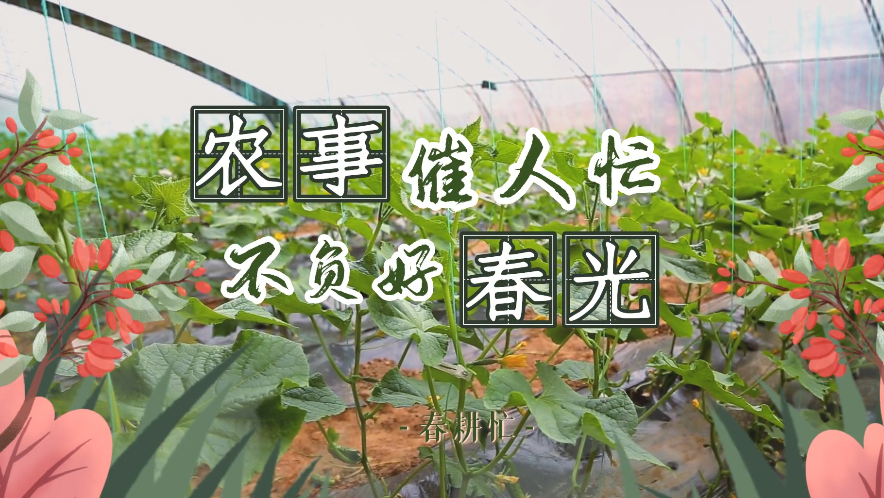 【第一眼】農事催人忙 不負好春光