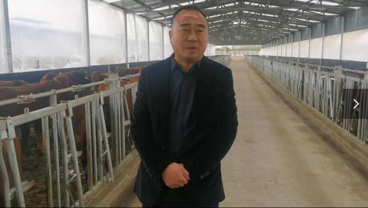 【脫貧攻堅(jiān)我來(lái)見(jiàn)證】項(xiàng)祖地：讓“早勝?！逼放谱叱龈拭C  走向全國(guó)