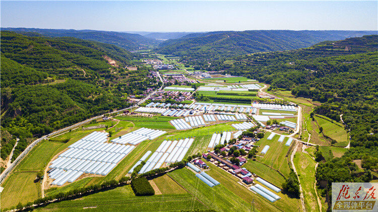 【奮進新征程 建功新時代】體驗農(nóng)趣、享受風(fēng)光、游覽古跡，這片瓜菜產(chǎn)區(qū)竟別有洞天