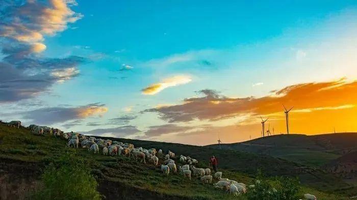 “尋美家鄉(xiāng)”網(wǎng)絡(luò)正能量專題活動