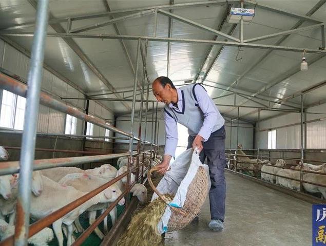 產(chǎn)業(yè)興 百姓富 文旅融——甘肅慶陽(yáng)加快鄉(xiāng)村建設(shè)推進(jìn)鄉(xiāng)村振興見聞