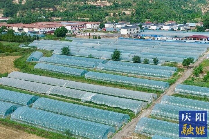 搶抓機遇再出發(fā) 錨定目標(biāo)不放松 ——慶城縣推動縣域經(jīng)濟高質(zhì)量發(fā)展紀(jì)實