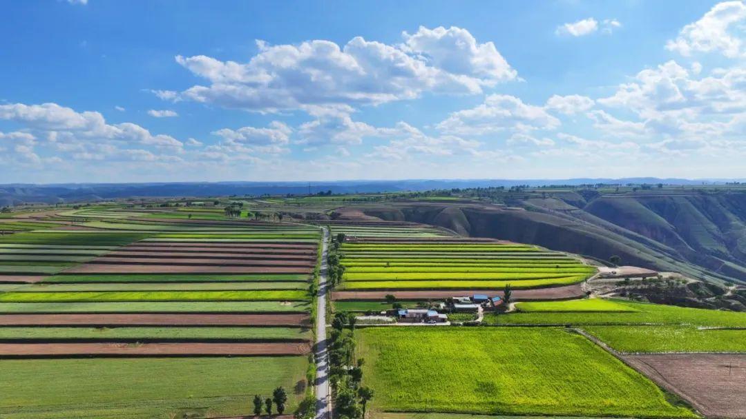 到慶陽，邂逅秋天的小美好