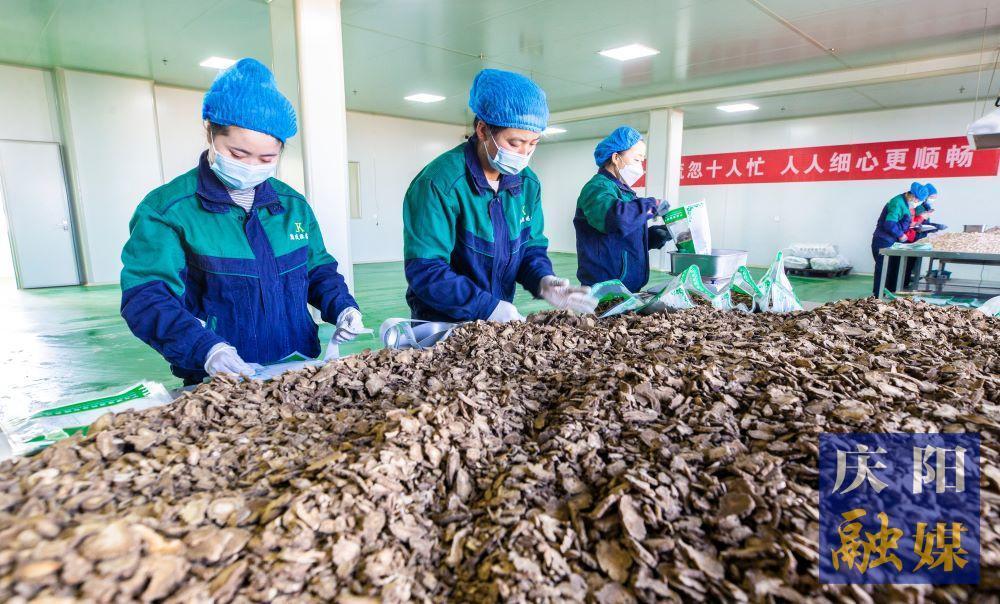 “六大產業(yè)”強動力 “群鳳還巢”開新業(yè)——寧縣推進鄉(xiāng)村振興工作紀實