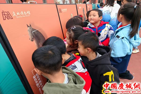 1732694145968.jpg 1732694145968.jpg