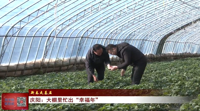 《慶陽(yáng)新聞》2025年1月31日