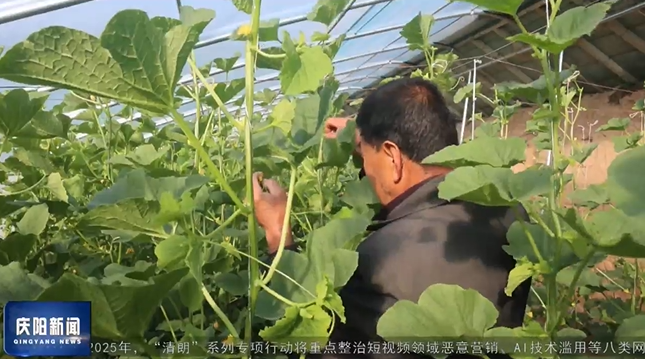 《慶陽(yáng)新聞》2025年2月22日