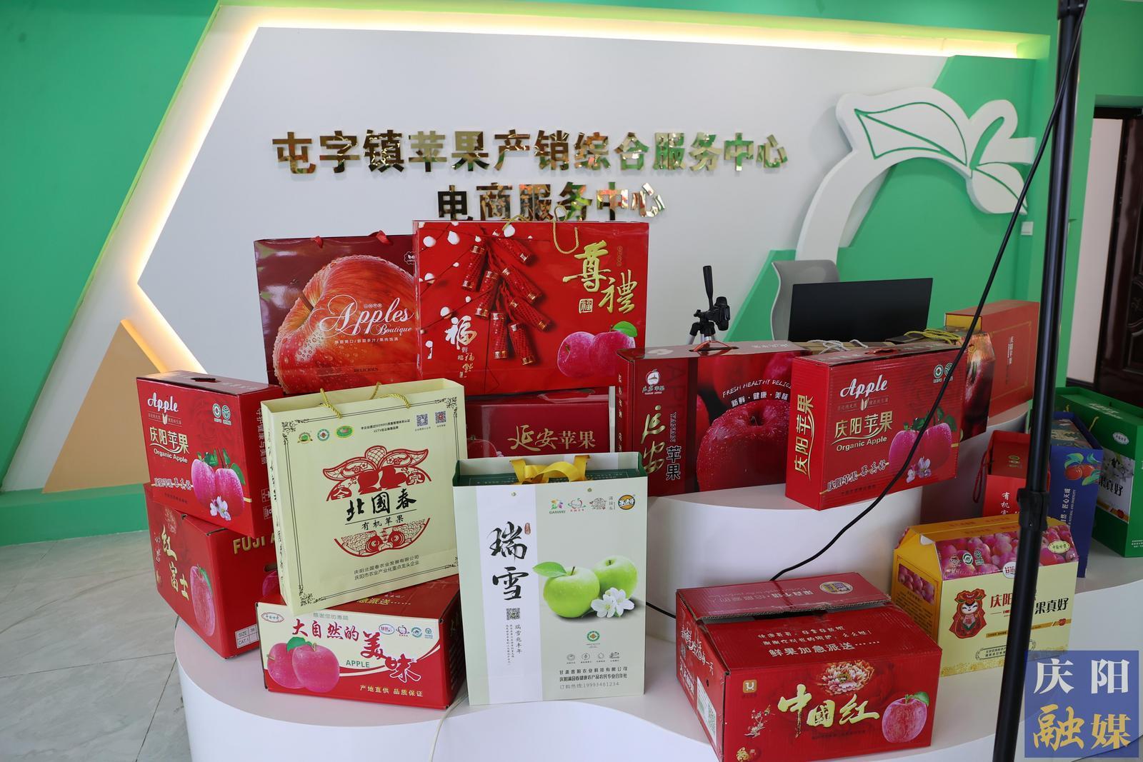 【攝影報(bào)道】鎮(zhèn)原縣甘旭果品專(zhuān)業(yè)合作社：蘋(píng)果全鏈發(fā)展 引領(lǐng)鄉(xiāng)村產(chǎn)業(yè)振興