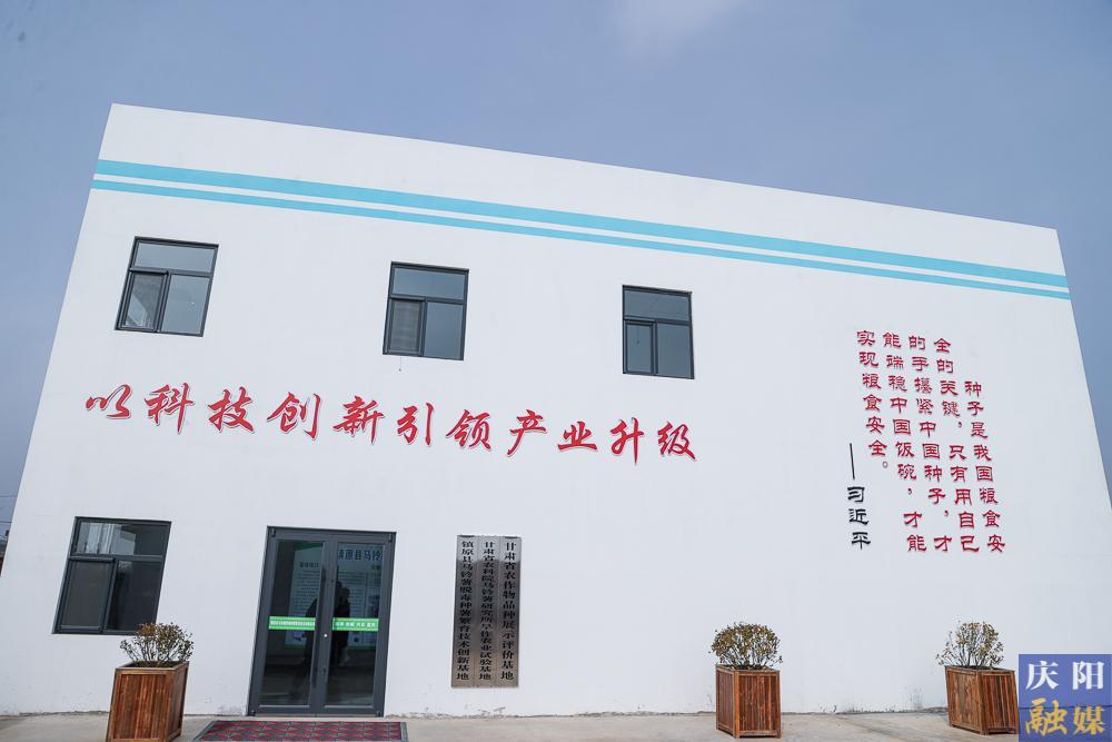 【攝影報(bào)道】馬鈴薯種薯繁育：賦能糧食優(yōu)質(zhì)高產(chǎn) 助力群眾就業(yè)增收