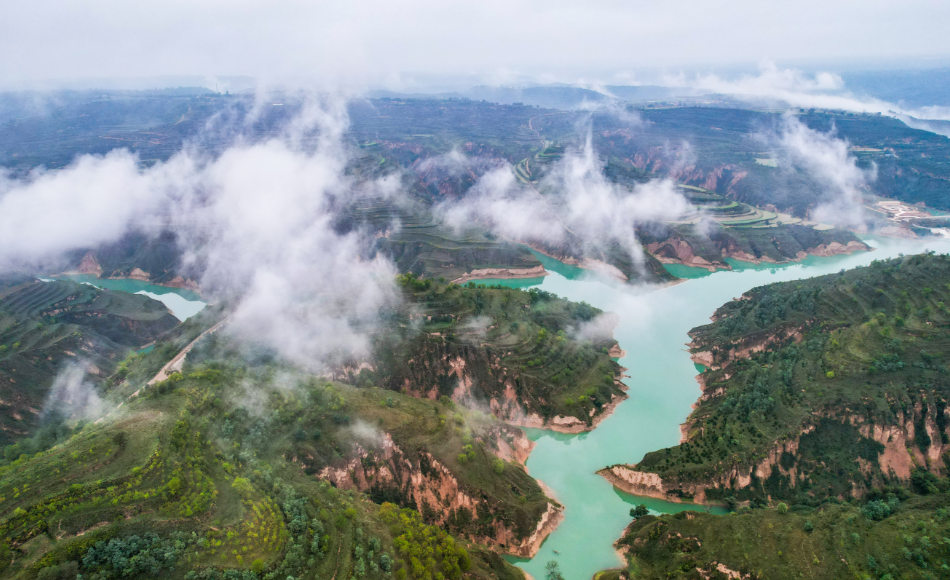 【詩文詠水 · 水潤慶陽征文作品選】一條河的魂魄（付興奎）