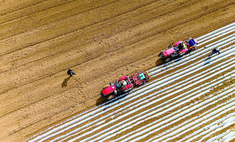 【攝影報(bào)道】人勤春來(lái)早 春耕備耕忙