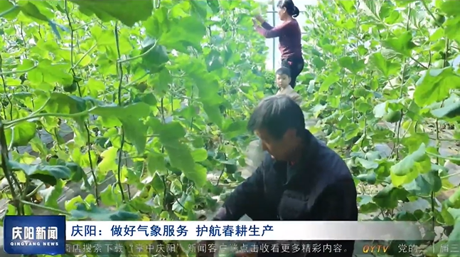 《慶陽新聞》2025年3月26日