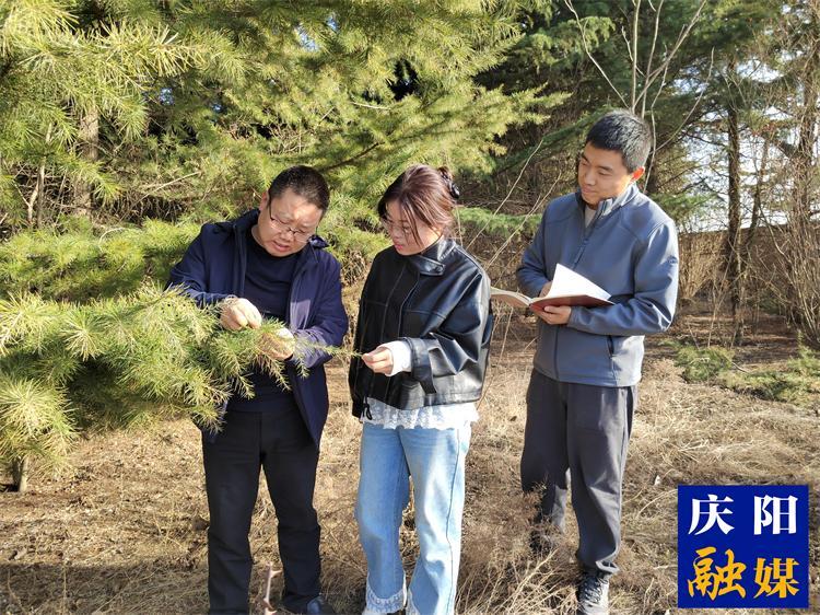 【報(bào)效祖國(guó) 建功西部】心懷生態(tài)夢(mèng)  追“綠”寫(xiě)忠誠(chéng)  ——記慶陽(yáng)市林科所林草濕荒綜合治理研究室主任徐建民