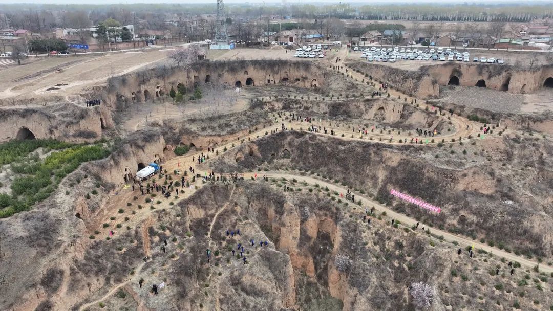 植綠正當時！正寧縣直機關義務植樹火熱開展