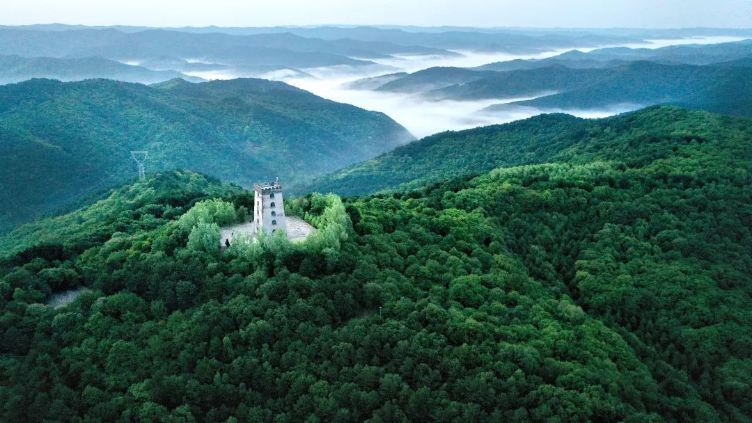 正寧縣干群攜手植綠 實現(xiàn)生態(tài)經濟雙贏