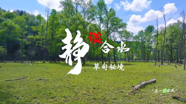 【五一游慶陽】靜謐合水︱合水縣太莪鄉(xiāng)草甸秘境等你來打卡！