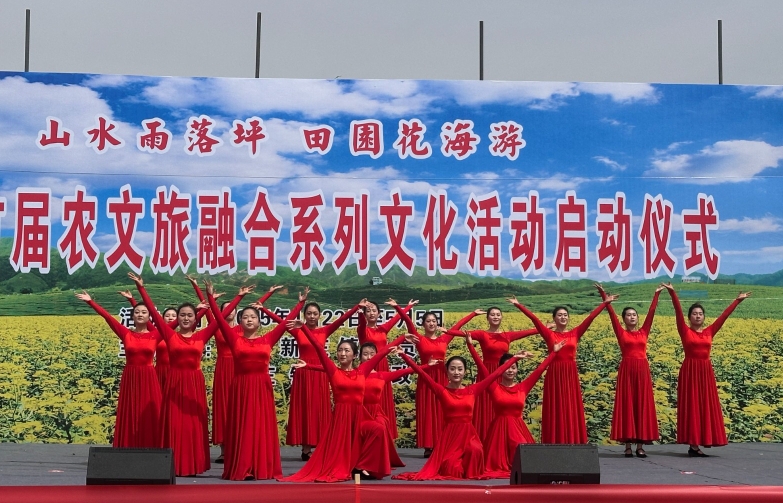 寧縣新莊鎮(zhèn)舉行首屆“山水雨落坪 田園花海游”系列文化活動啟動儀式