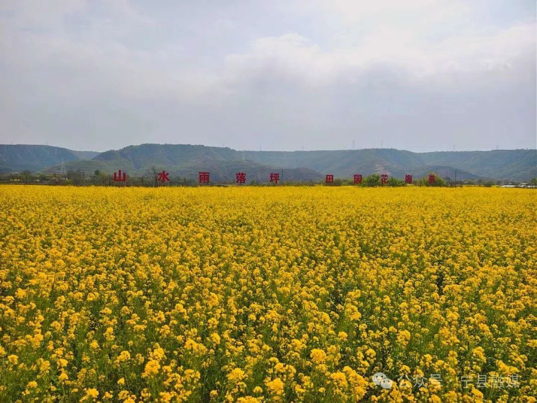 寧縣： 五一假期 農(nóng)文旅融合助推鄉(xiāng)村游持續(xù)升溫