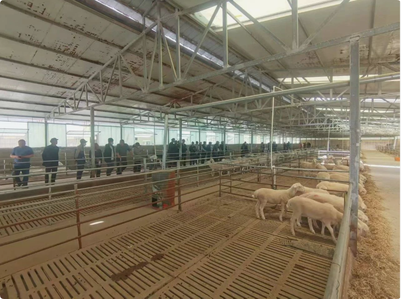 QQ_1746583670914.png QQ_1746583670914.png