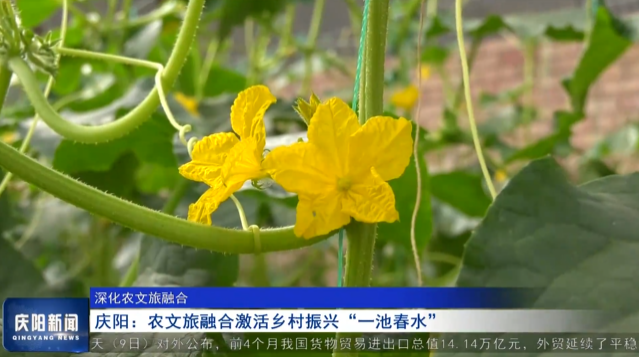 《慶陽(yáng)新聞》2025年5月9日