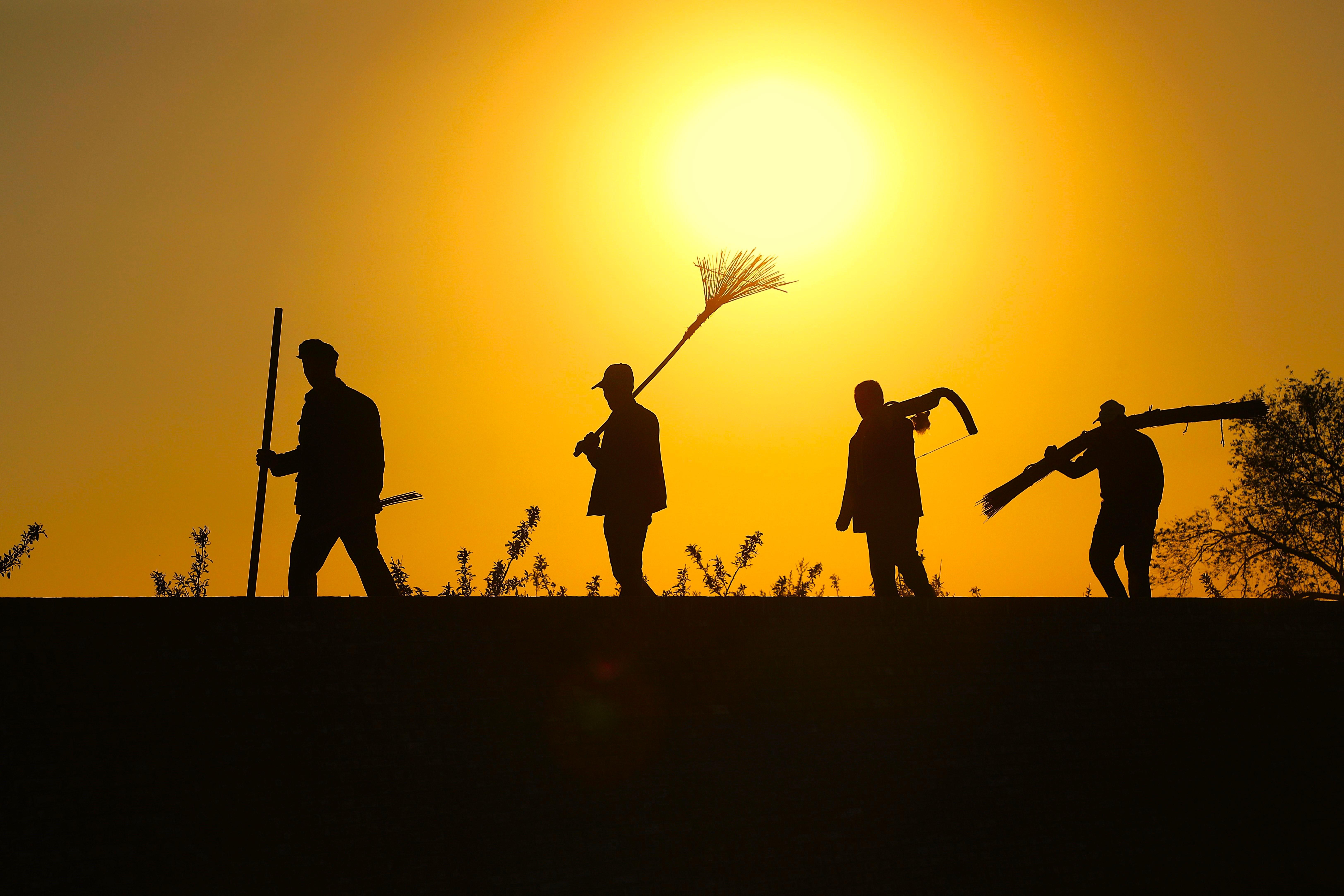 【攝影報(bào)道】環(huán)縣非遺：羊毛成氈記