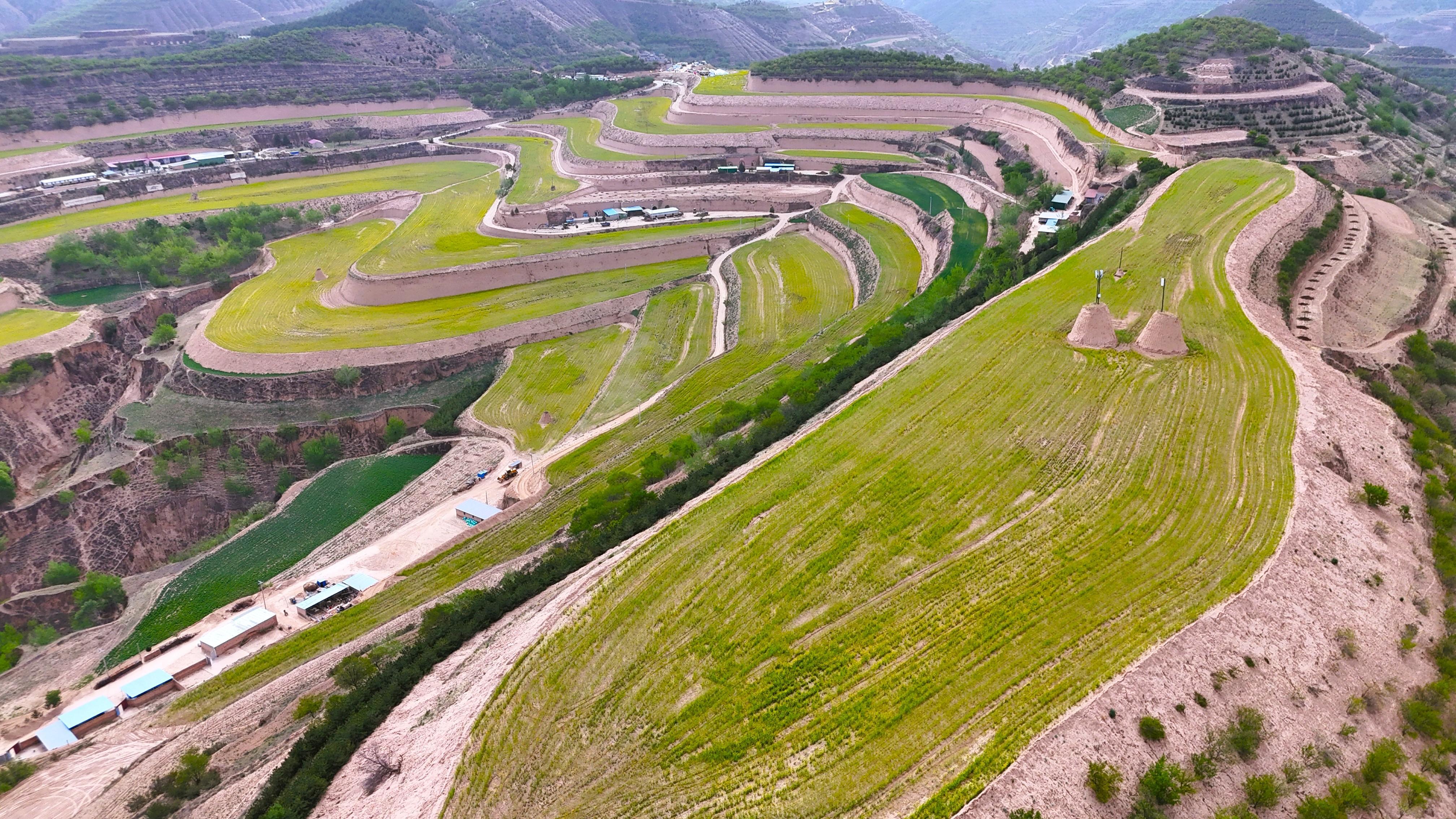 花海為媒 文旅為筆 ——環(huán)縣曲子鎮(zhèn)書寫鄉(xiāng)村振興新答卷