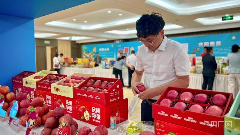 甘肅慶陽赴京拓市場：黃土塬“甘味”端上首都餐桌