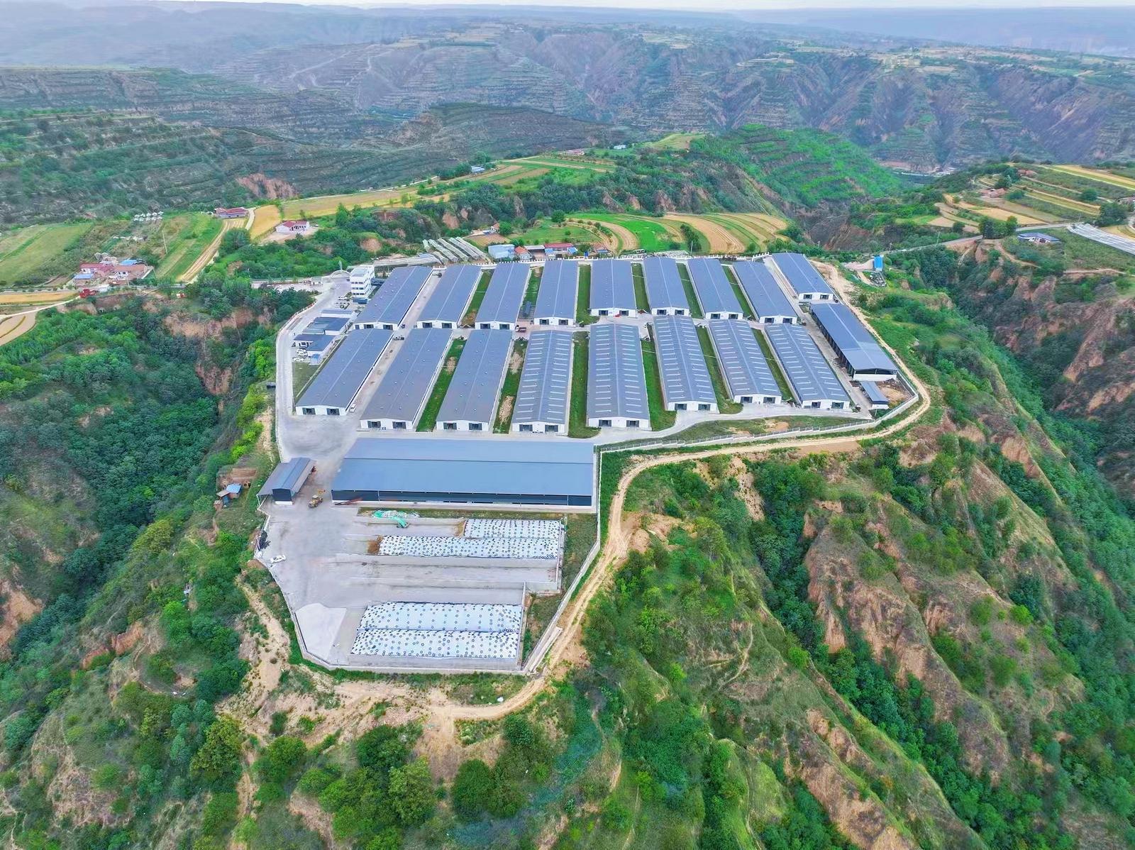 慶城：筑牢防疫堡壘 護(hù)航畜牧產(chǎn)業(yè)行穩(wěn)致遠(yuǎn)