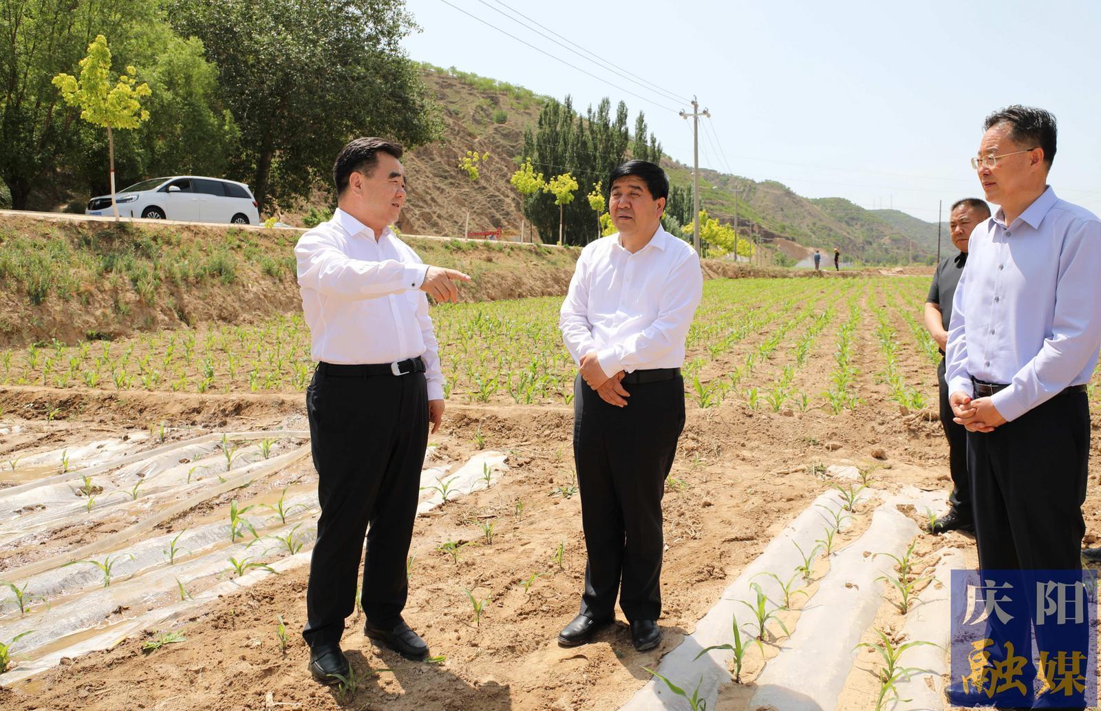 黃澤元在環(huán)縣調研時強調 有效解決突出問題推動學習教育走深走實 用足用好各類水源最大限度減少旱情影響