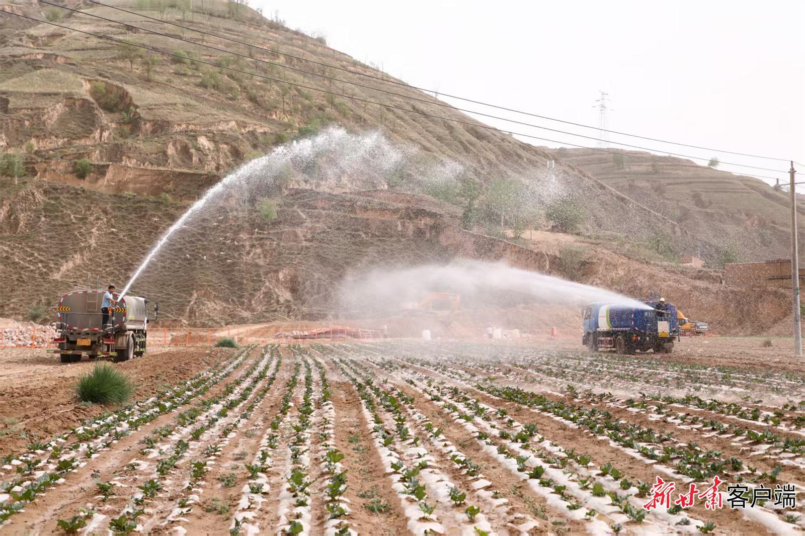 環(huán)縣：主動作為 抗旱保糧
