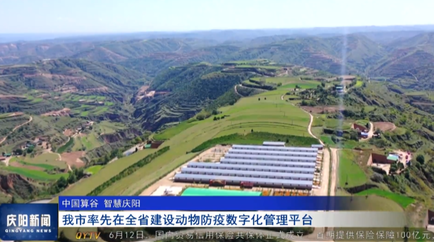 《慶陽新聞》2025年6月13日