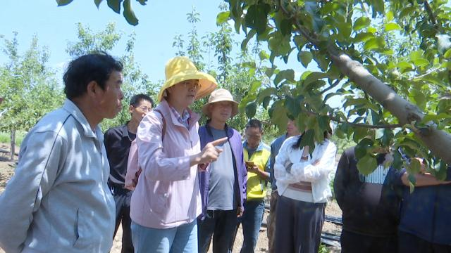 合水縣肖咀鎮(zhèn)：強化果園管理培訓(xùn) 夯實果產(chǎn)業(yè)發(fā)展根基
