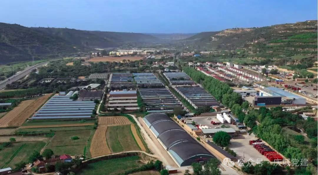 玄馬鎮(zhèn)黨委：“三鏈”聚合激活村級(jí)集體經(jīng)濟(jì)“紅色引擎”