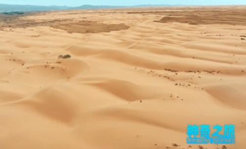 保衛(wèi)黃河幾字彎