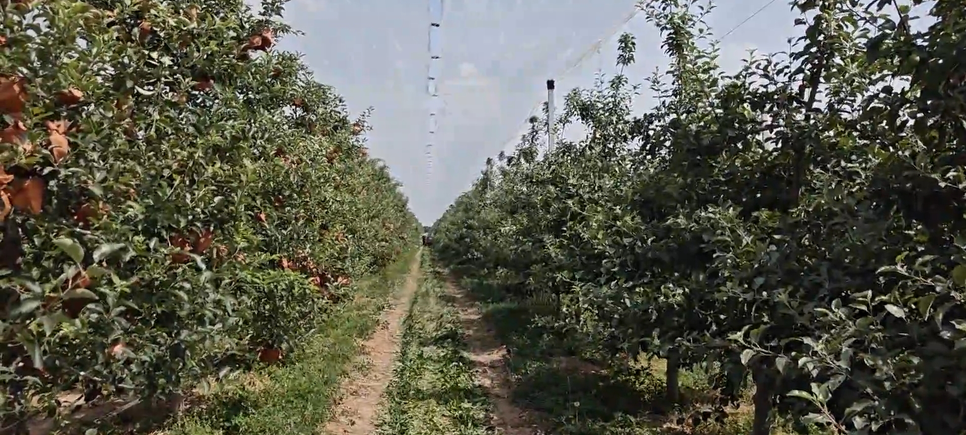 《慶陽新聞》2025年6月22日