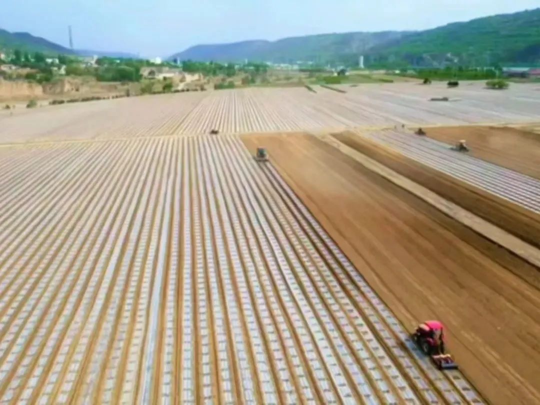 卅鋪鎮(zhèn):書寫文明實(shí)踐新篇章 繪就幸福鄉(xiāng)村新畫卷