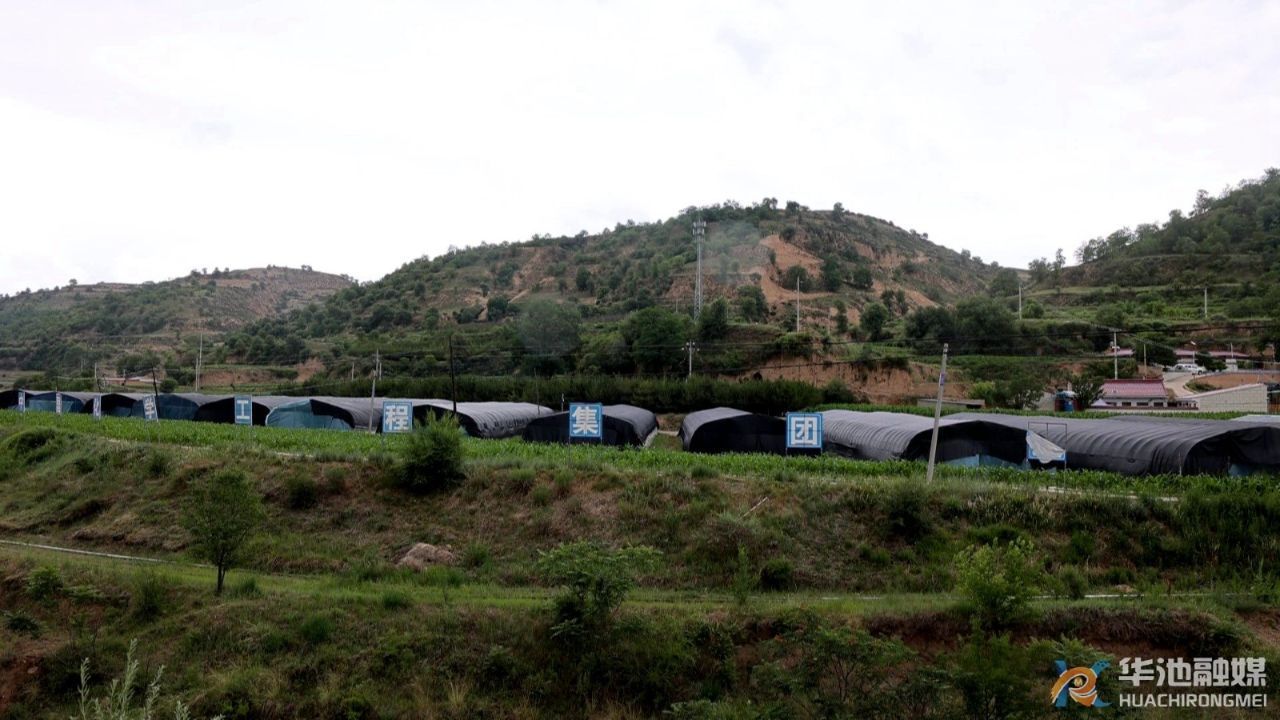 華池：食用菌產(chǎn)業(yè)“菇”勁十足