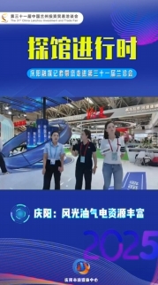 【“云”探蘭洽會】慶陽氣電資源豐富