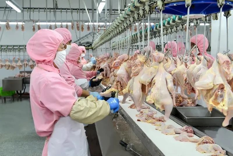 【媒體看鎮(zhèn)原】 學(xué)習(xí)強(qiáng)國(guó)報(bào)道——區(qū)縣新聞 | 慶陽(yáng)市鎮(zhèn)原縣：夏季項(xiàng)目建設(shè)熱潮涌動(dòng)