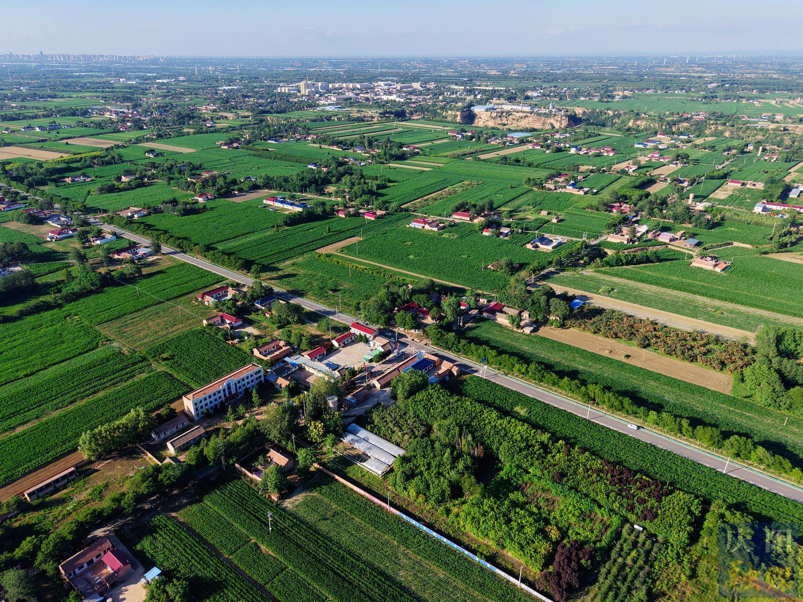 【圖說慶陽】西峰區(qū)：塬上夏綠如濤