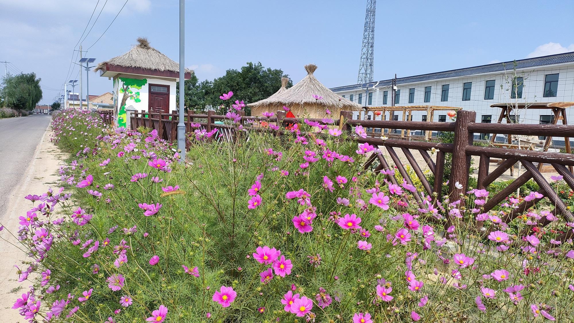 廟渠鎮(zhèn)：人大代表當(dāng)“參謀”共繪鄉(xiāng)村振興圖