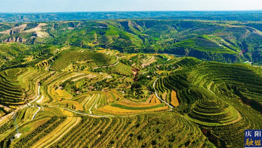 北地詩陣 | 遠(yuǎn)望故鄉(xiāng)（謝文魁）