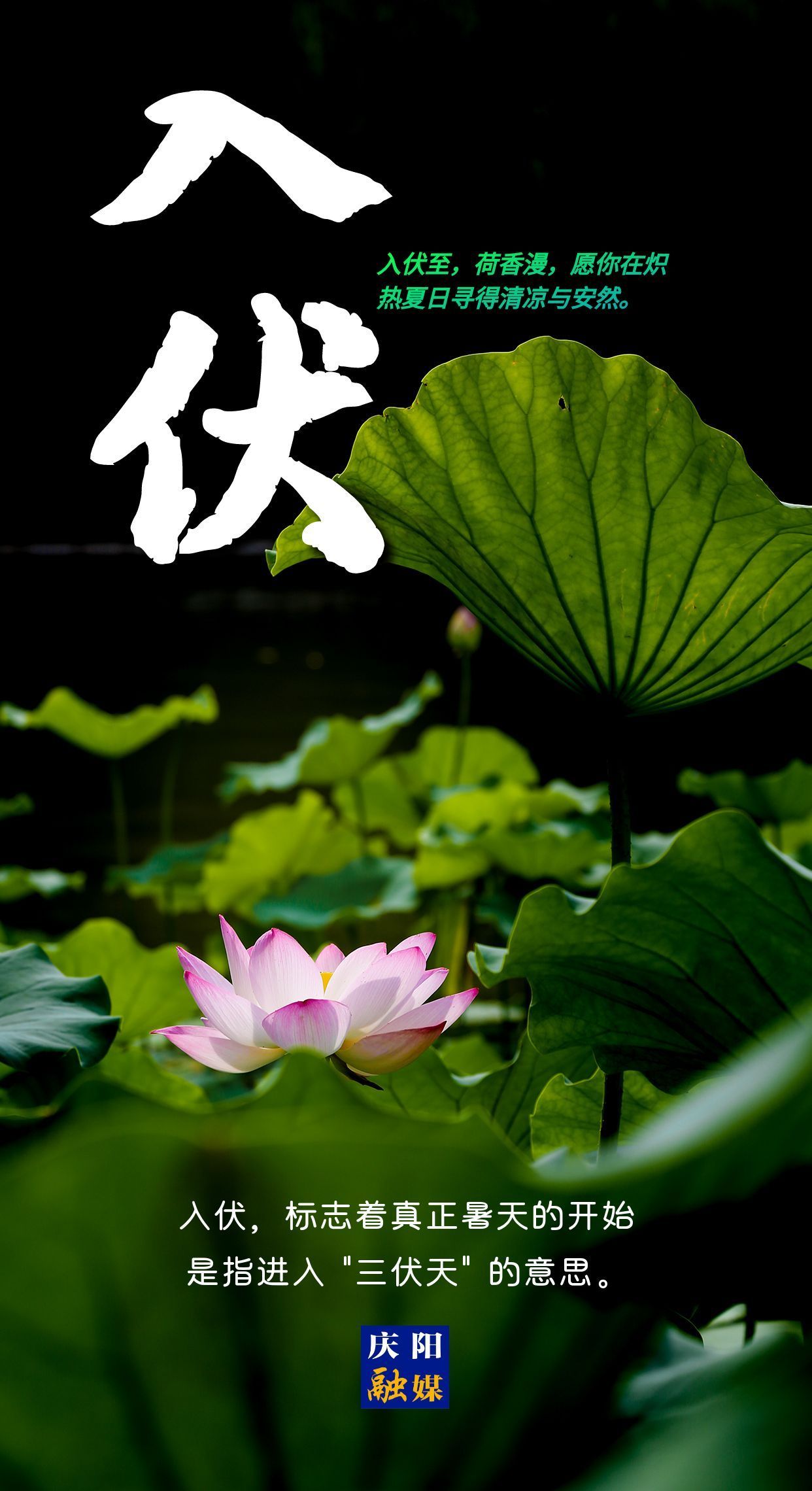 【微海報(bào)】今日入伏丨愿你安然度夏！