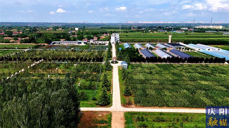 【攝影報道】不負夏日好時光  農(nóng)耕研學助成長