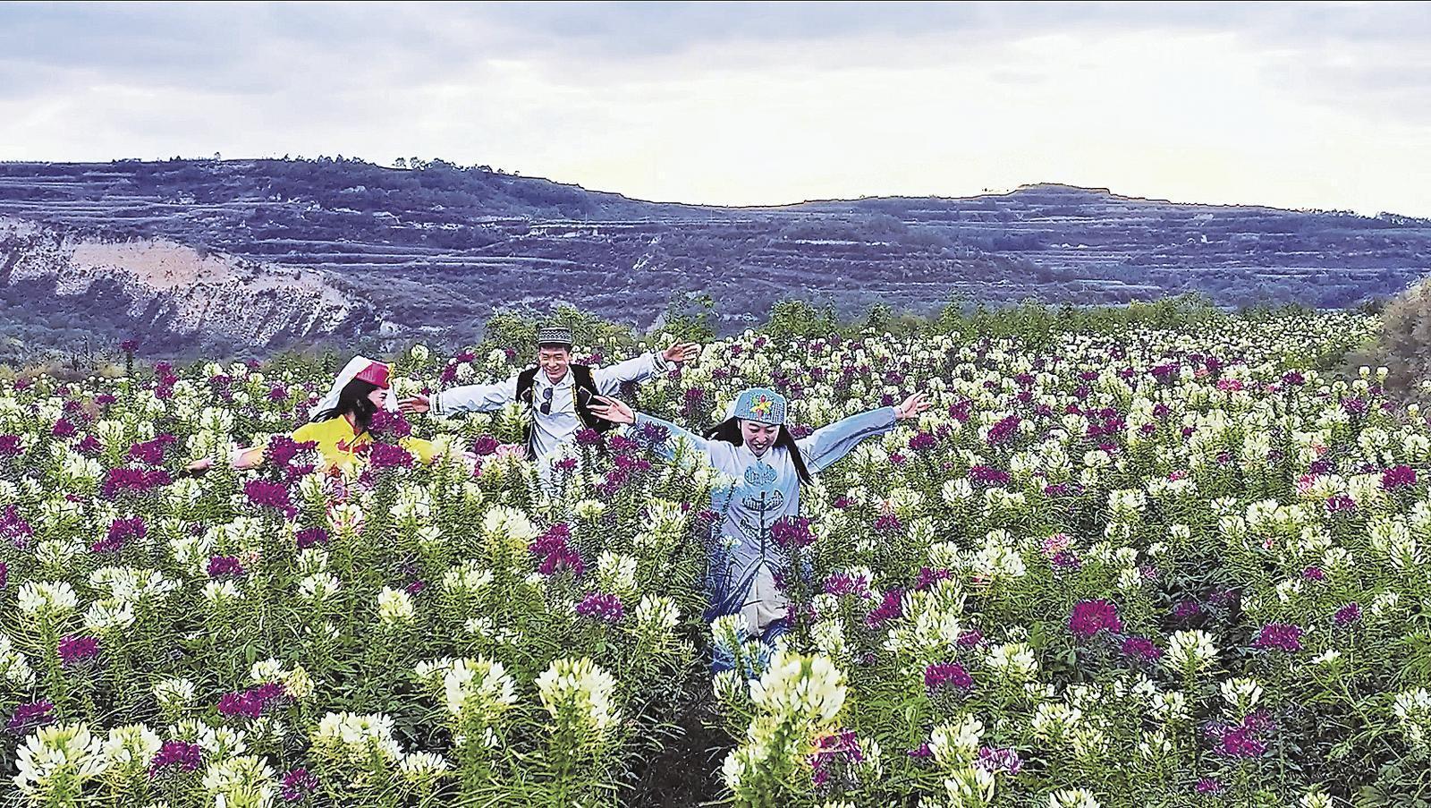正寧縣五頃塬回族鄉(xiāng)龍咀子村融合促蝶變 風(fēng)景變“錢景”