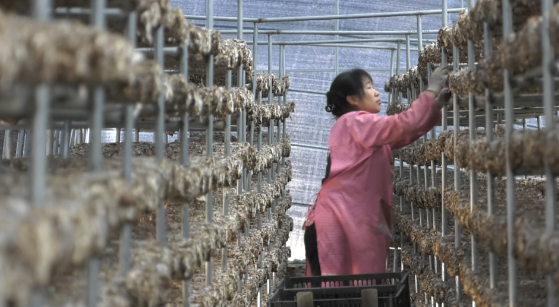 合水：招商引資結(jié)碩果 助力縣域經(jīng)濟(jì)高質(zhì)量發(fā)展