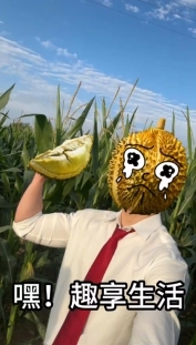 趣享生活/認(rèn)準(zhǔn)這幾點(diǎn)，輕松get“報(bào)恩榴蓮”