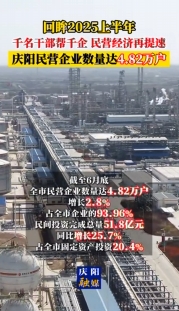 【回眸2025上半年】慶陽市上半年民營企業(yè)數(shù)量達4.82萬戶、增長2.8%，占全市企業(yè)的93.96%；民間投資完成總量51.8億元、同比增長25.7%，占全市固定資產(chǎn)投資 20.4%